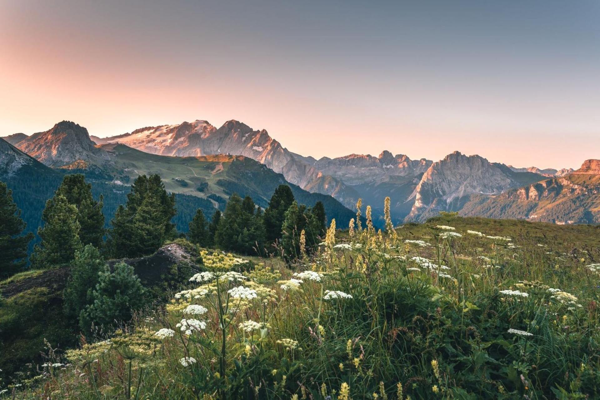 Bed & Breakfast Cesa Planber Mountain View Bike Friendly *
