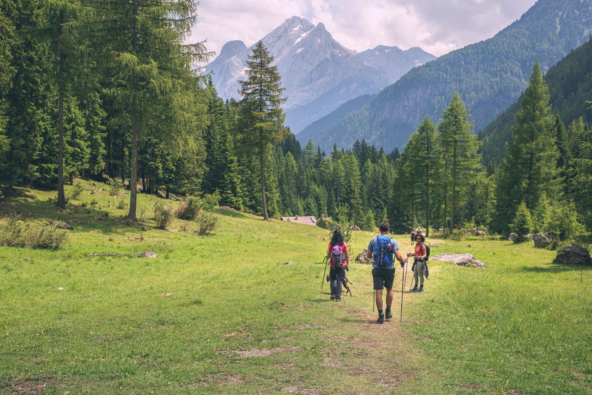 Cesa Planber Mountain View Bike Friendly *